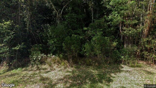 Street View near 1445 EASTERN DORRIGO WAY