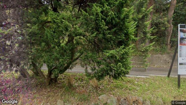 Street View near 248 LAWRENCE HARGRAVE DR